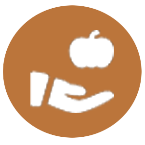 Icon of a hand holding an pumpkin, symbolizing porch pumpkin designs in Milton GA